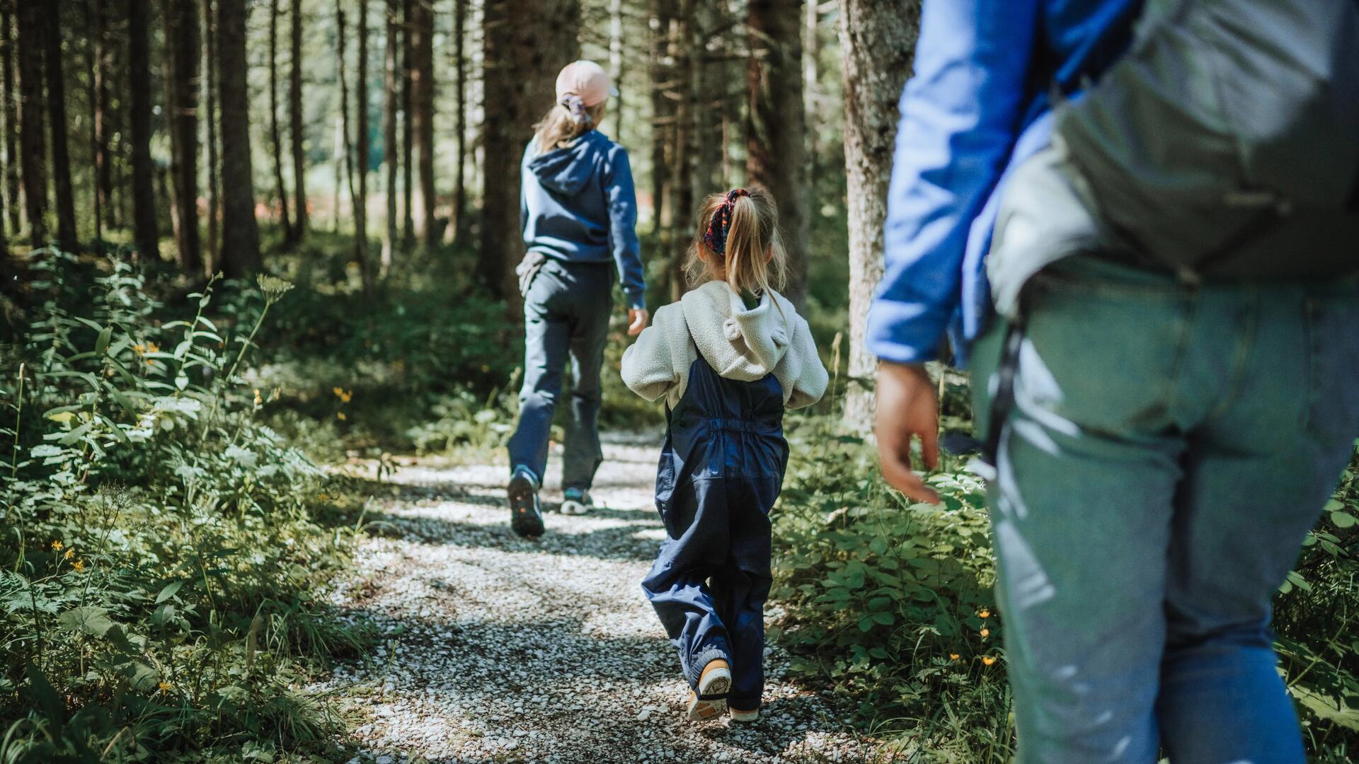 Stapsgewijs het Pieterpad bewandelen: Een gids voor wandelaars.