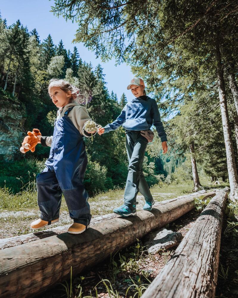 Zwei Kinder balancieren im sonnigen Wald über einen Baumstamm.