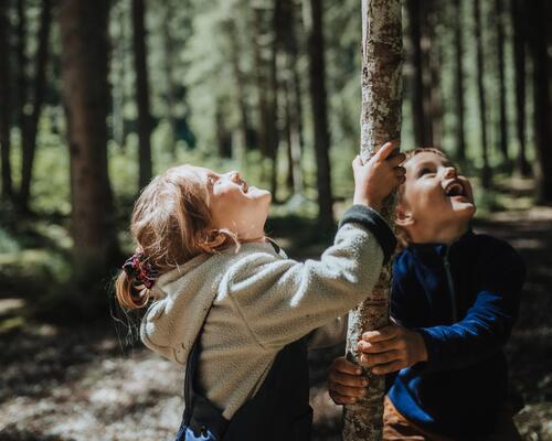 Photo d'enfants en forêt