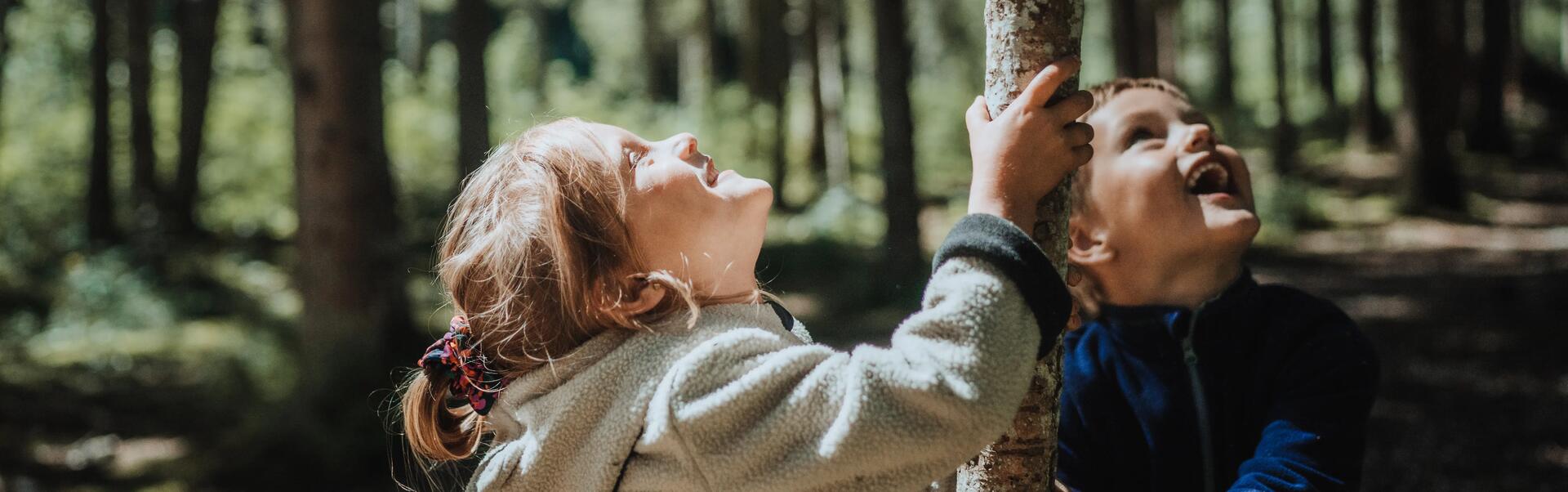 Photo d'enfants en forêt