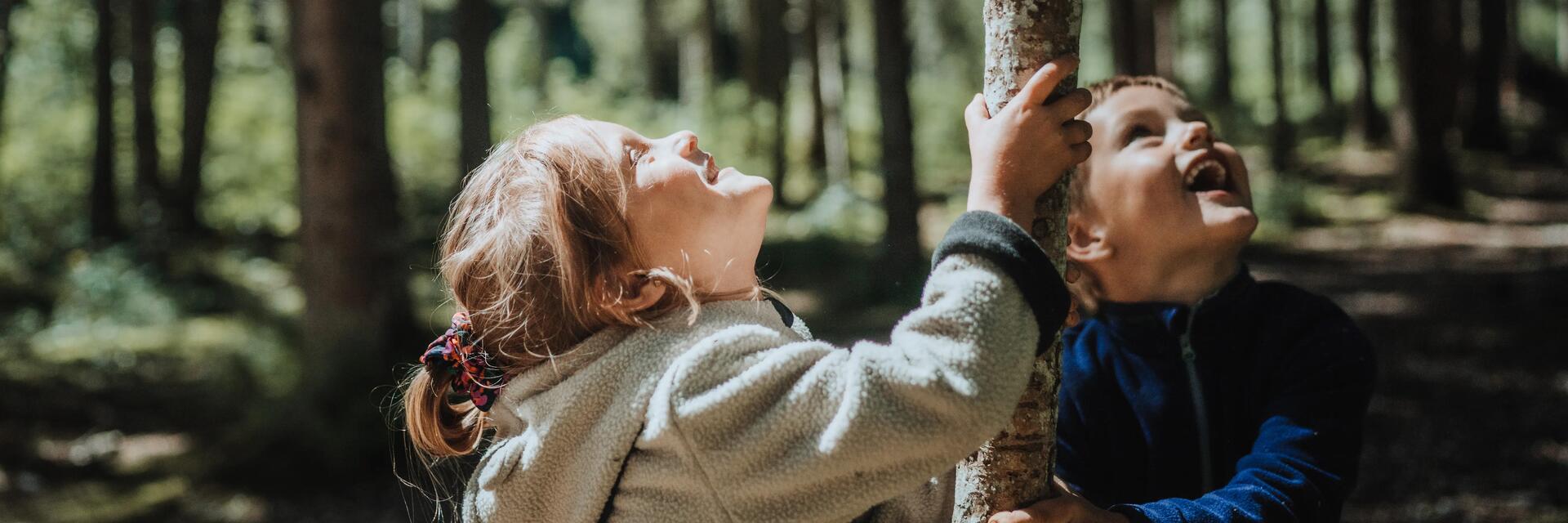 Photo d'enfants en forêt