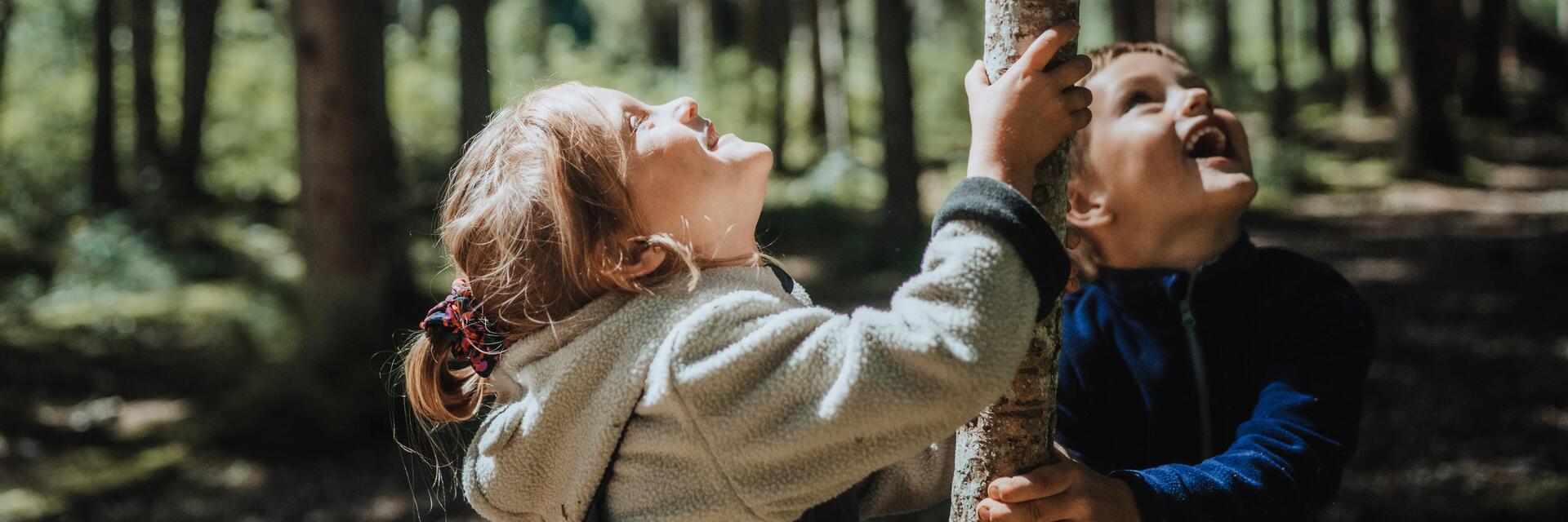 Photo d'enfants en forêt