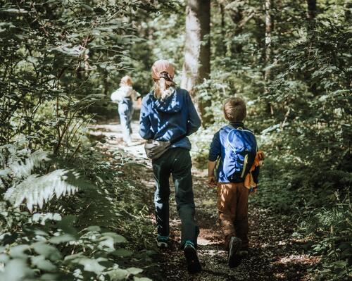 dzieci w odzieży trekkingowej idące przez las