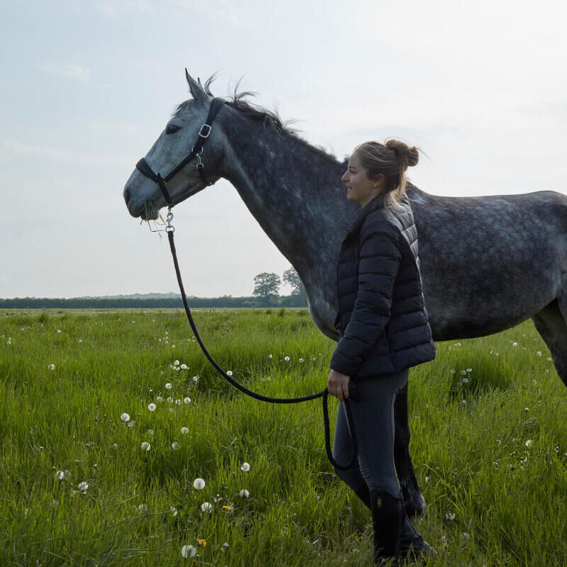 Portait duo d'une cavalière et son cheval