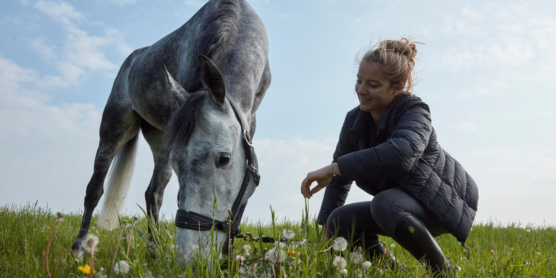 Portait duo d'une cavalière et son cheval