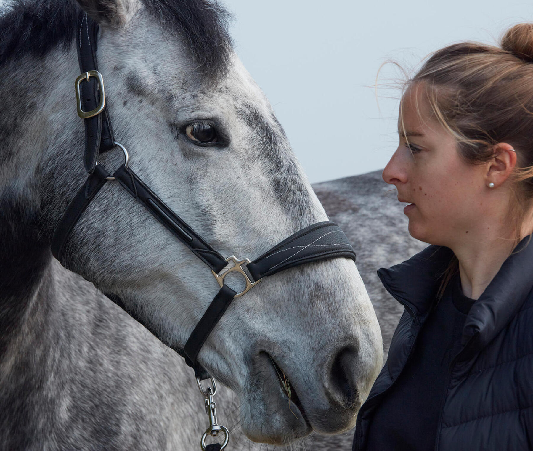 une fille heureuse communique avec son cheval préféré. la fille