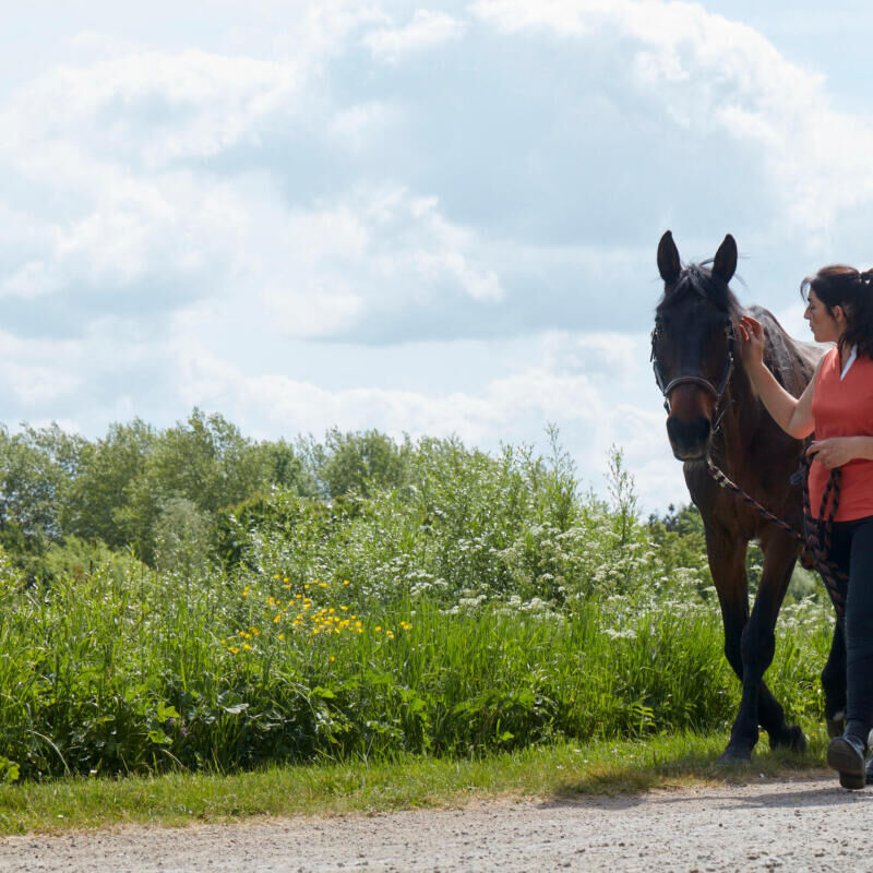 Portait duo d'une cavalière et son cheval