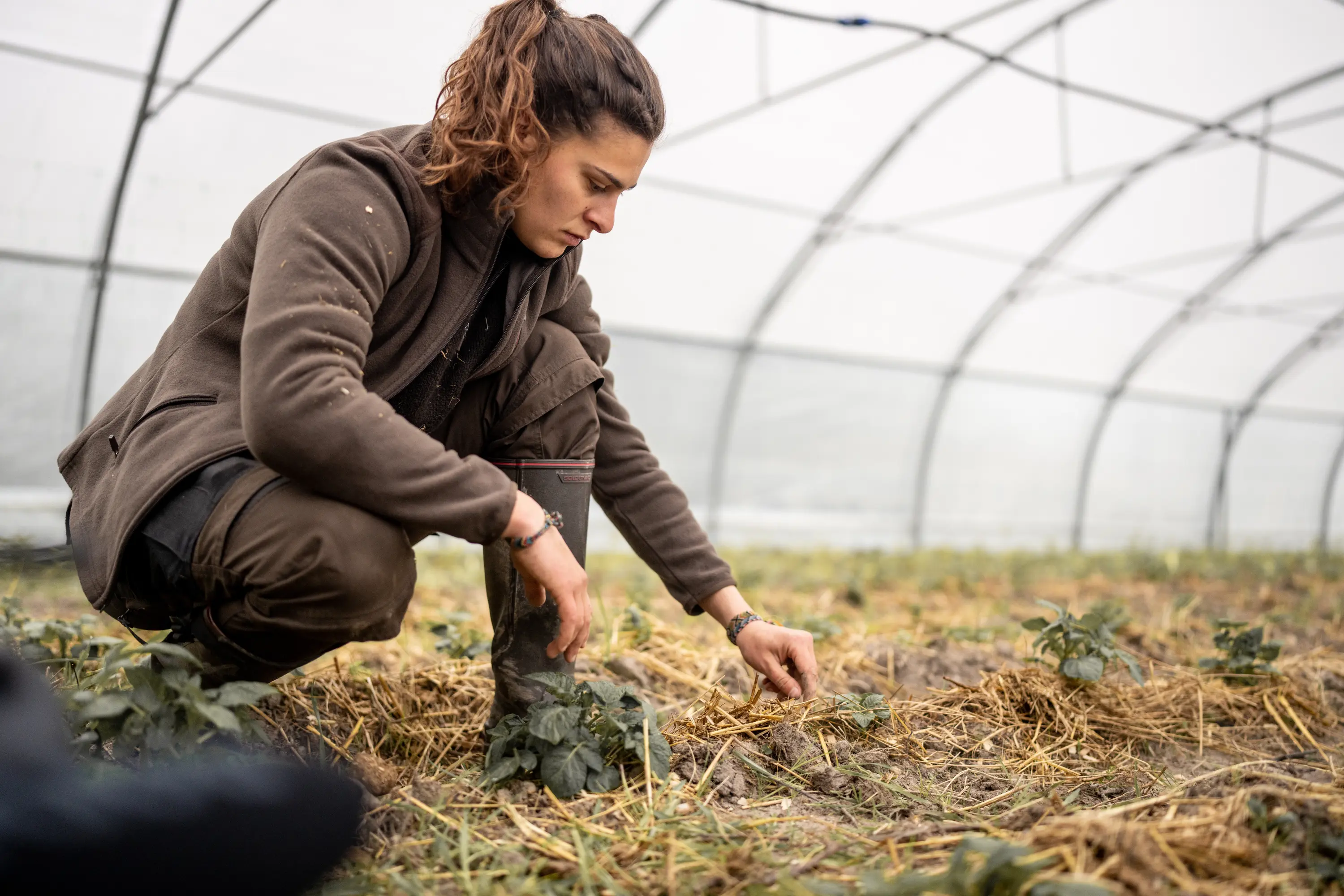 roupa trabalho campo / mato