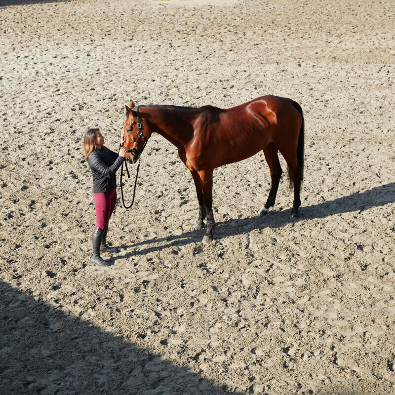 Portait duo d'une cavalière et son cheval