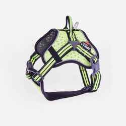 ARKA multi-sport dog harness yellow