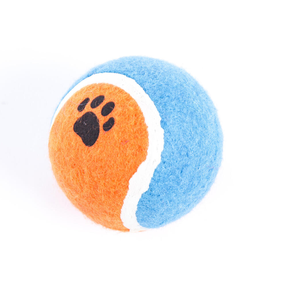 Set of 2 tennis balls for dogs.