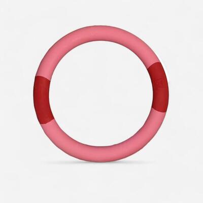 Bunter Ring für Hunde 100 % Naturkautschuk