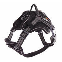 Harnais multisport pour chien ARKA gris foncé
