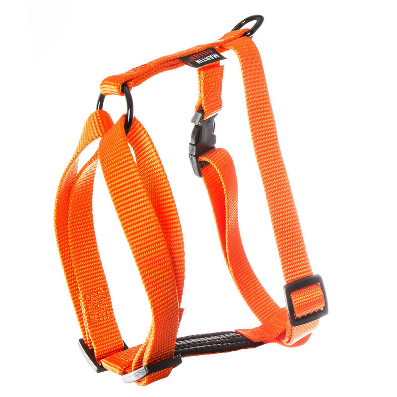 Harnais confort chien orange