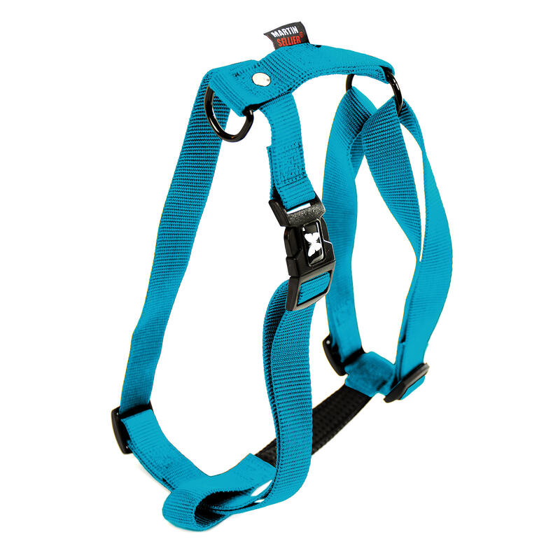 Harnais confort chien bleu turquoise