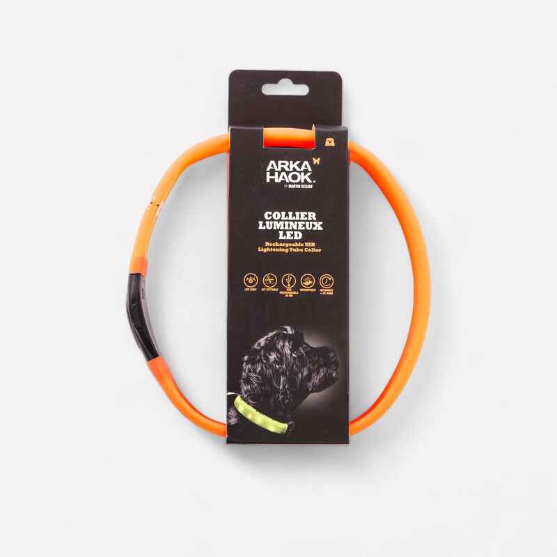 Lighted dog collar orange