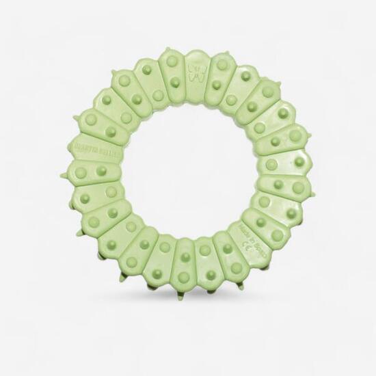 Anneau picots dentaire 100% caoutchouc naturel pour chien.