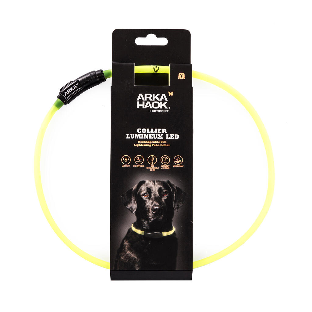 Illuminated dog collar yellow