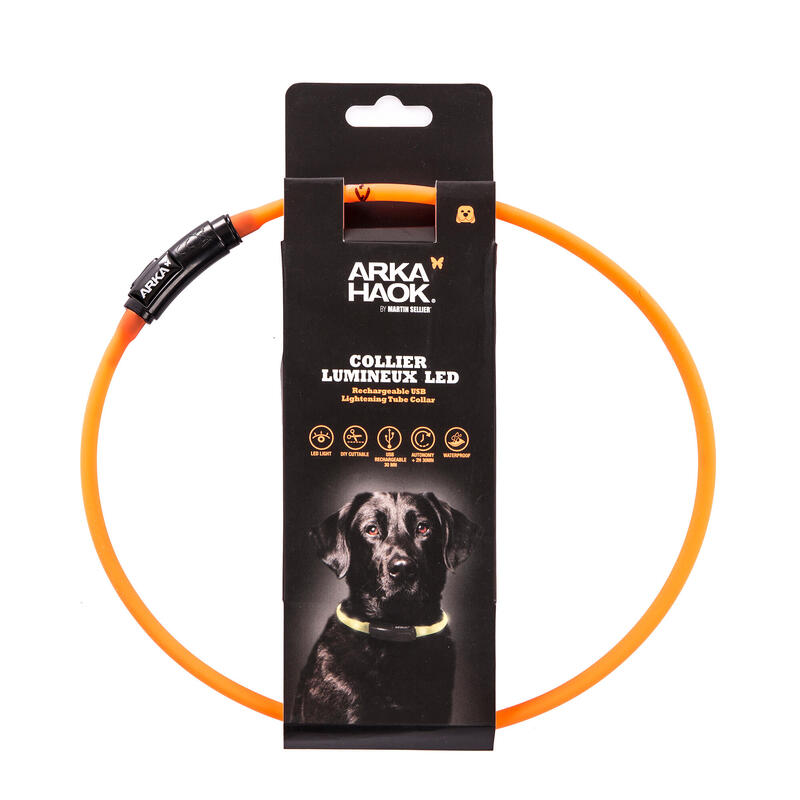 Collier lumineux rond orange pour chien