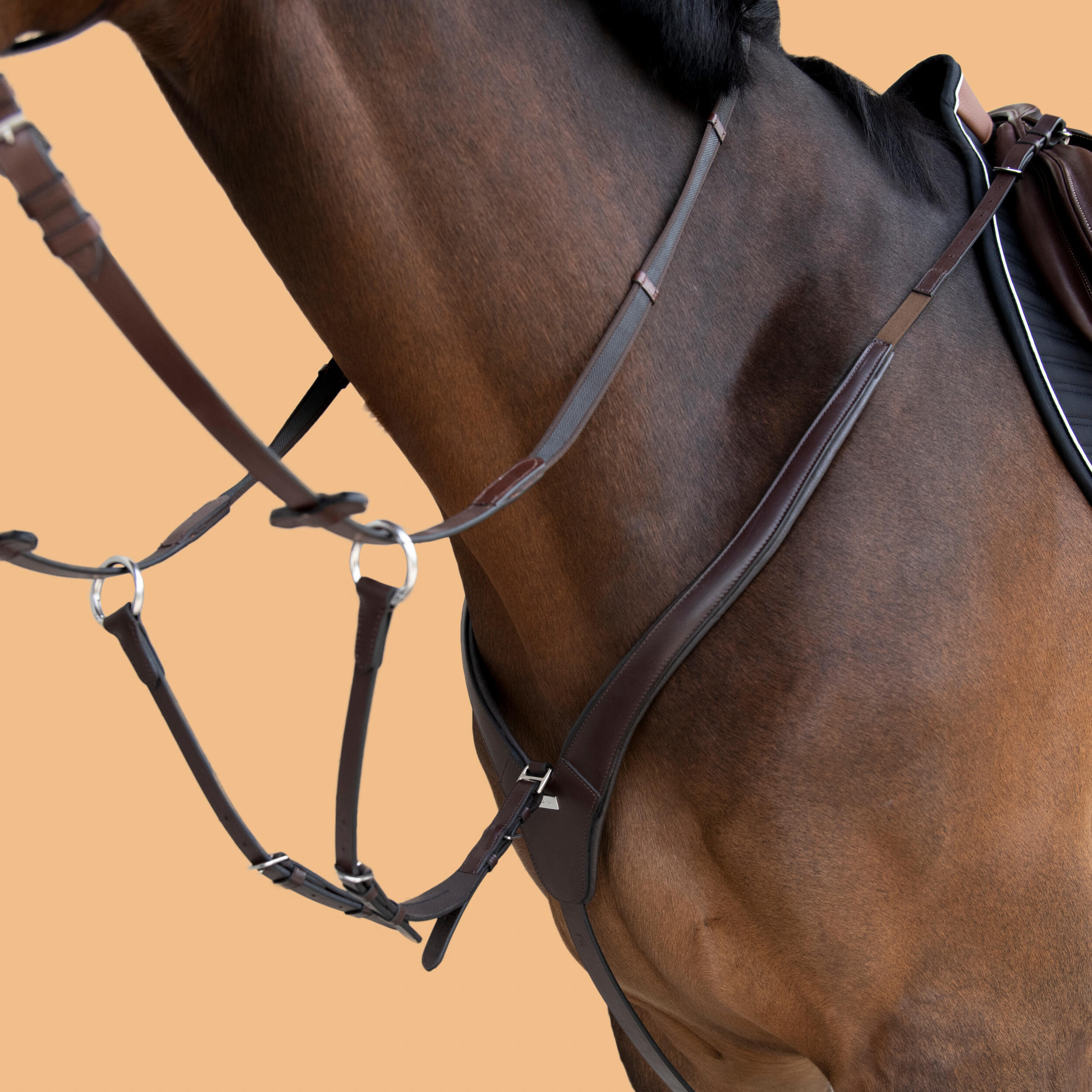 Pettorale con martingala pony e cavallo 3 punti marrone  3/6