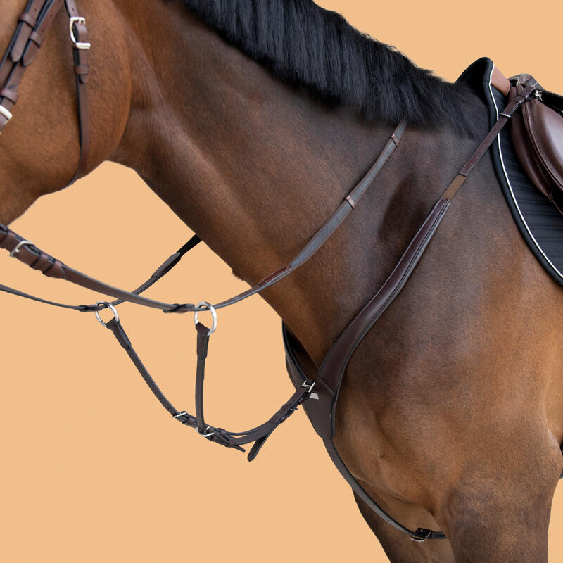 Pettorale con martingala equitazione cavallo e pony 3 punti d'attacco marrone scuro