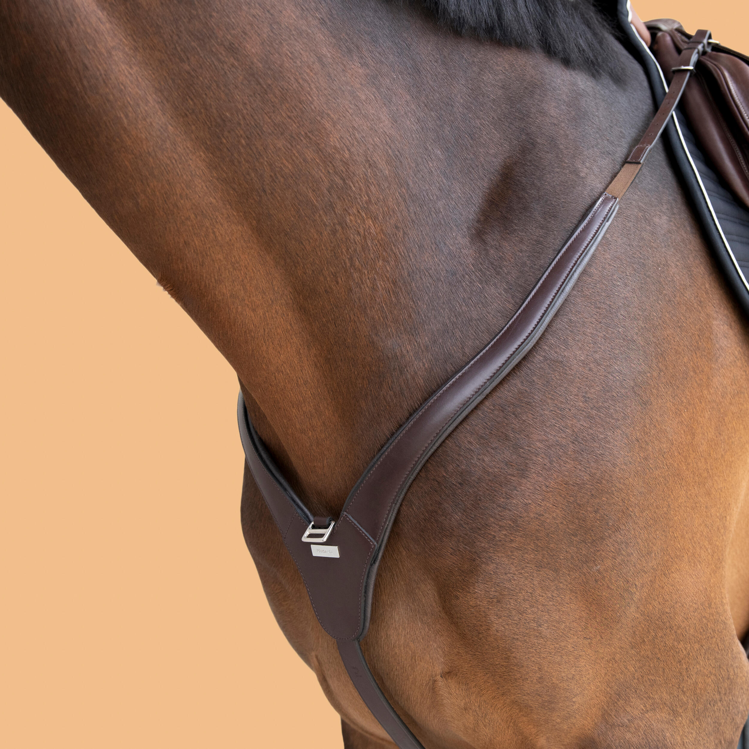 Pettorale con martingala pony e cavallo 3 punti marrone  6/6