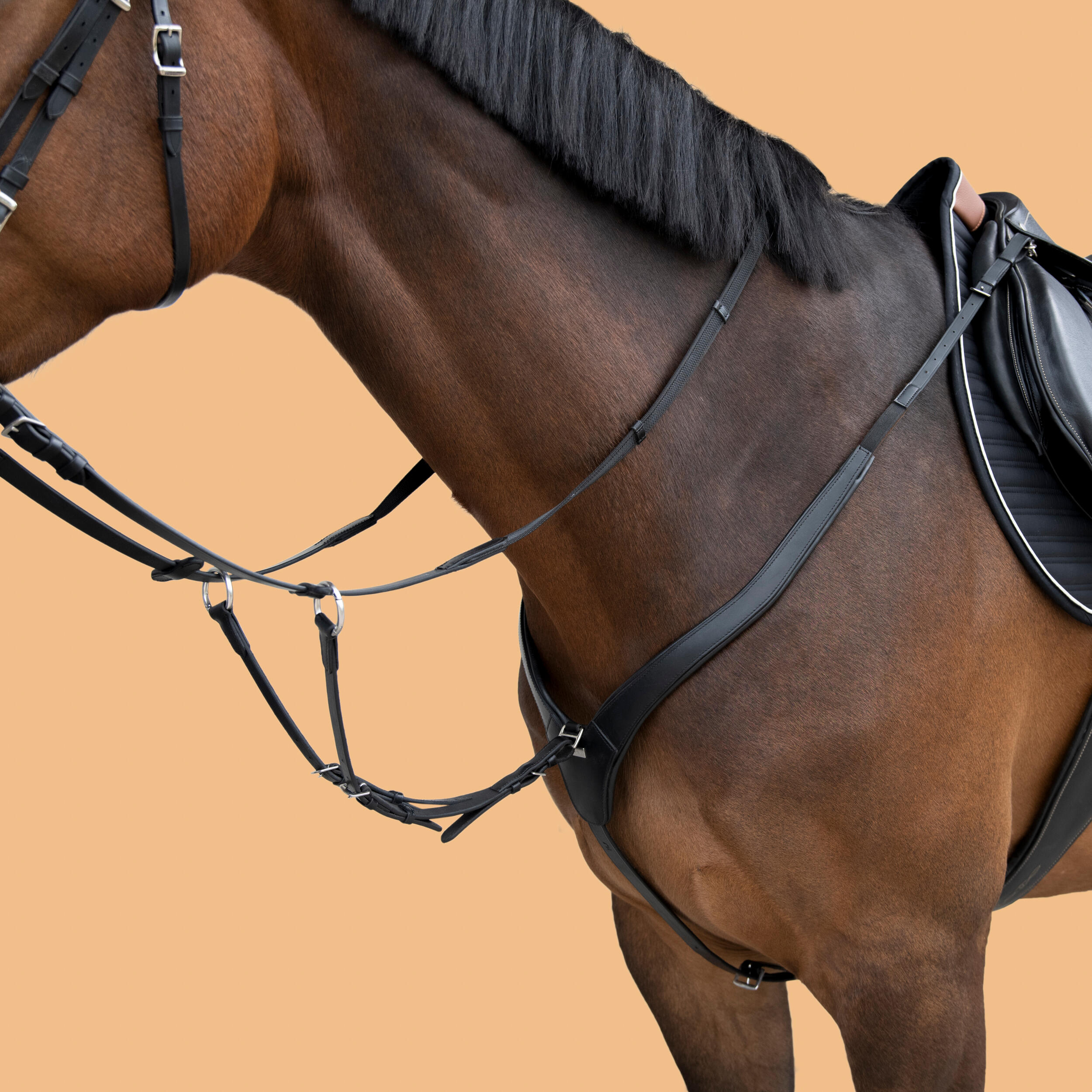 Pettorale con martingala pony e cavallo 3 punti nero  2/6