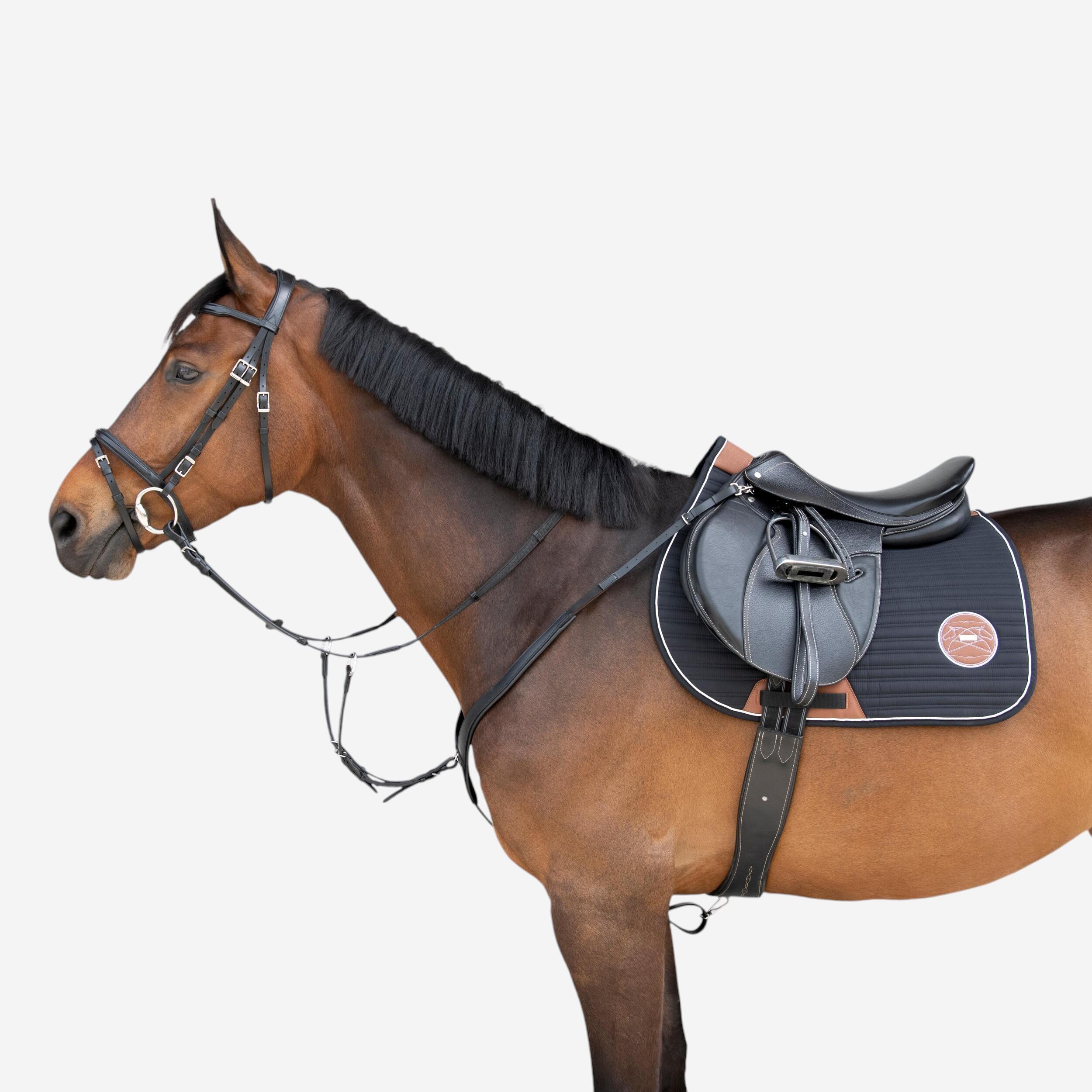 Martingale cheval | Équitation