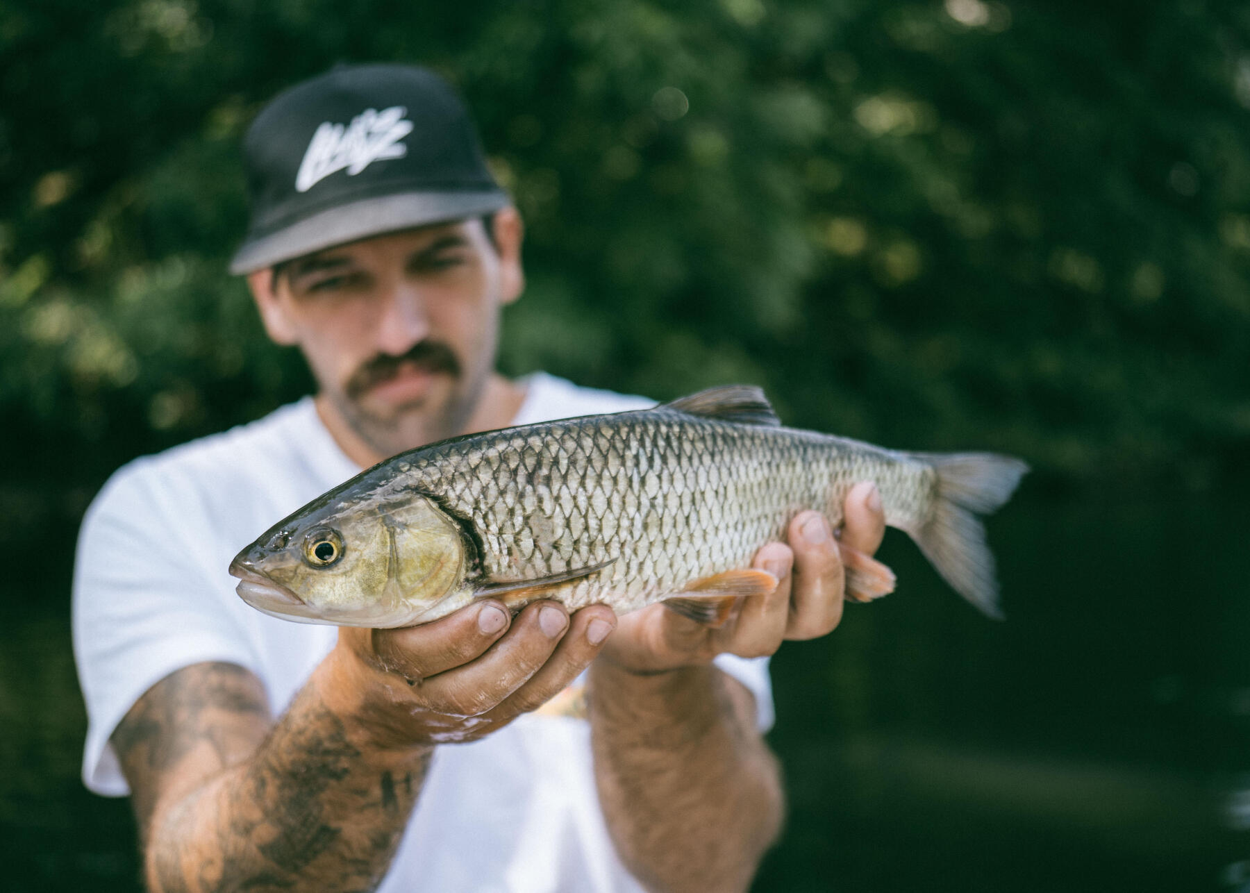 Les Bases de la pêche du Chevesne aux leurres