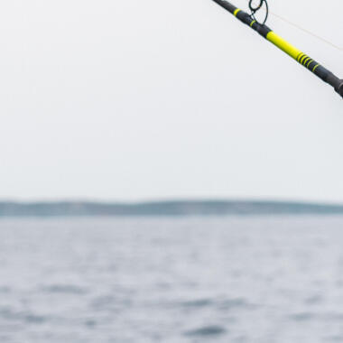 canne à pêche pour pêcher le bar