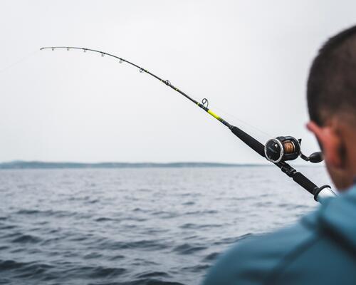 canne de pêche à la traine