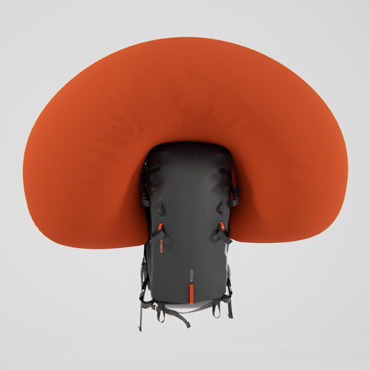 Sac à dos Airbag pour le ski Freeride 30L - noir (cartouche non incluse)