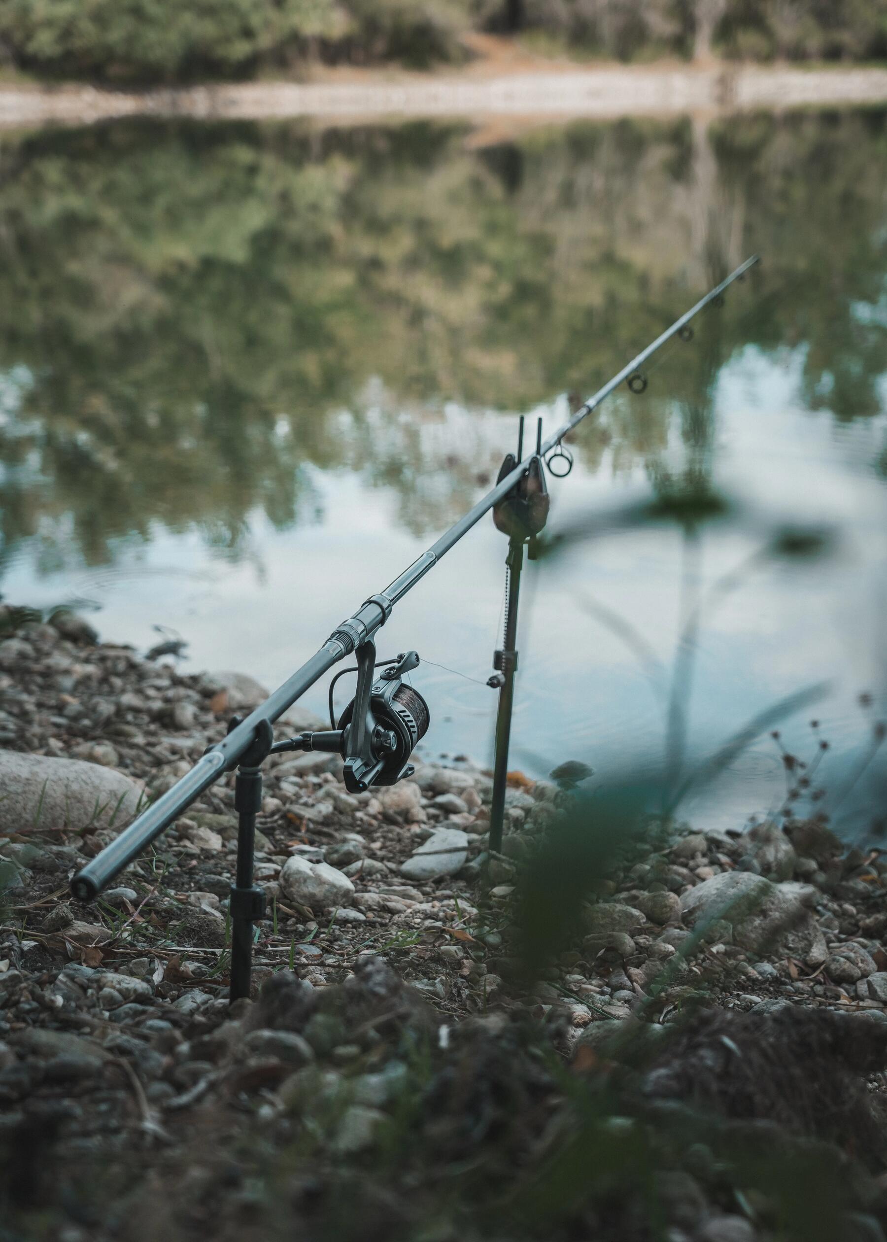 pêche à la carpe