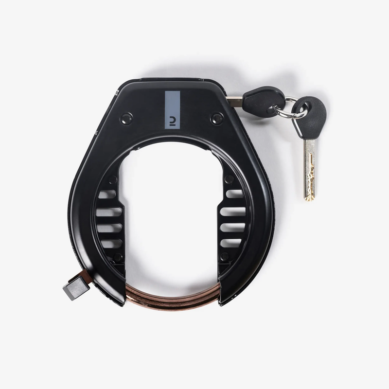 CARALL Chaîne Antivol Moto Robuste 6mm X 900mm Avec 2 Clés - Cadenas Vélo Et Portail Sécurisé 830g