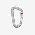 SCREWGATE CARABINER 3000 SECURE POLI