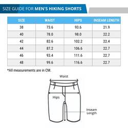 Men’s Walking Shorts - Grey