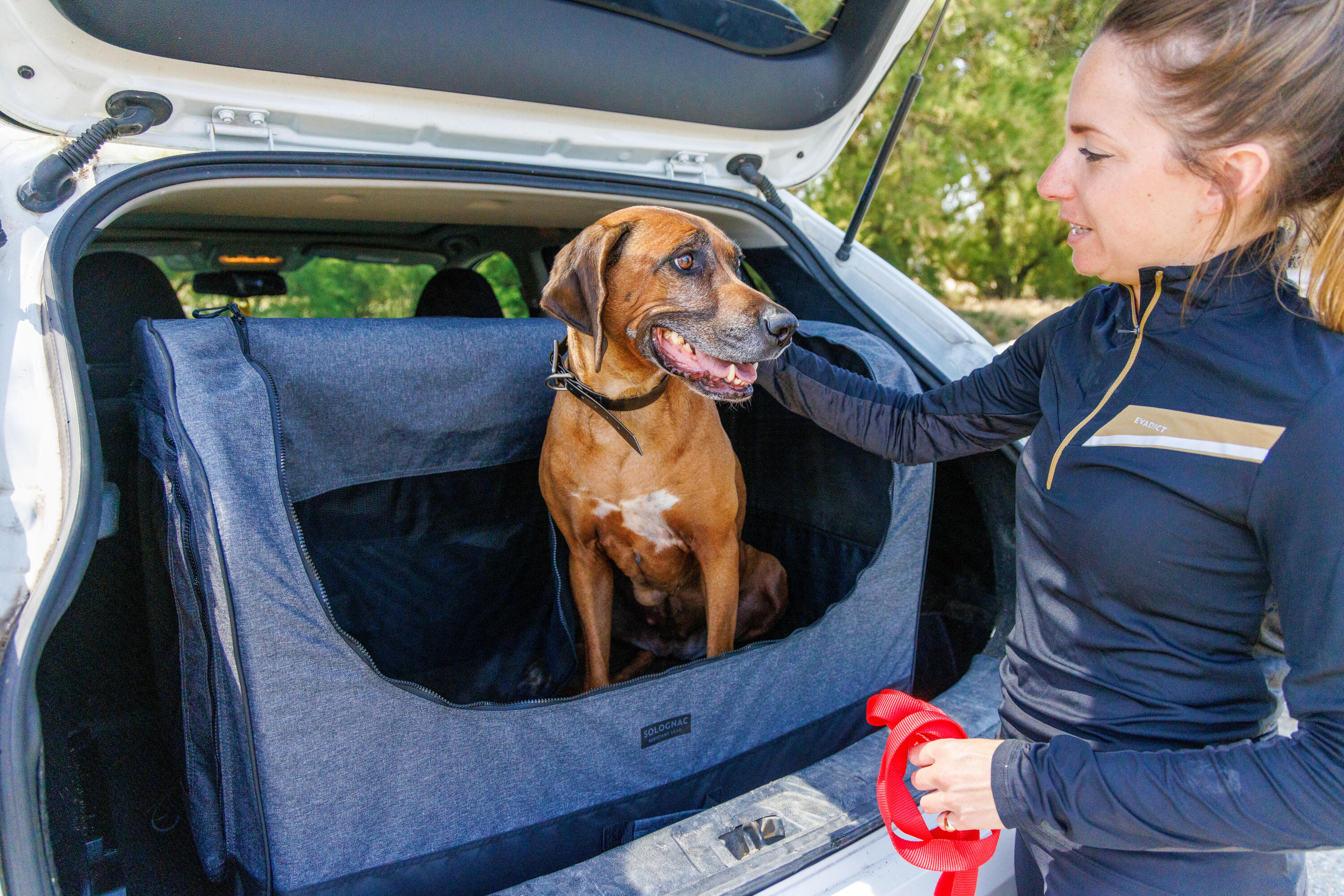 OPVOUWBARE BENCH VOOR 1 HOND 100 GRIJS 12/15