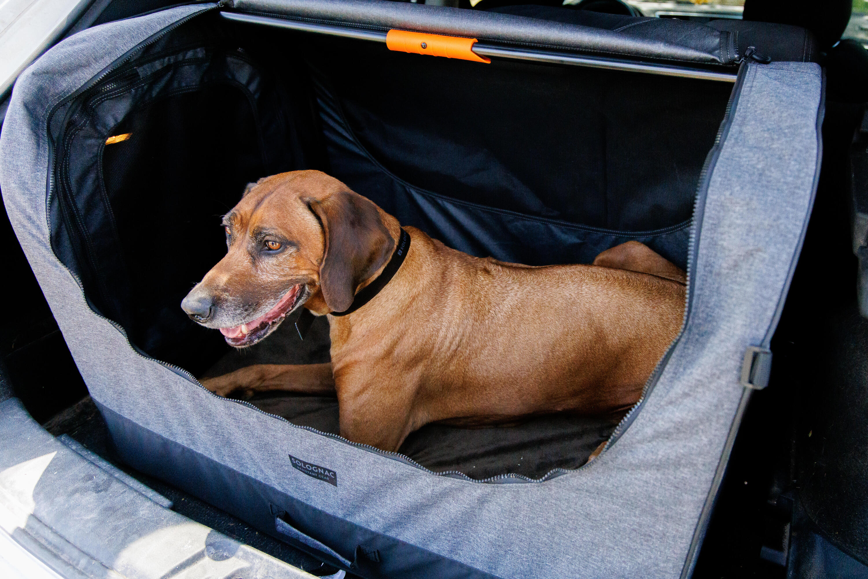 OPVOUWBARE BENCH VOOR 1 HOND 100 GRIJS 13/15