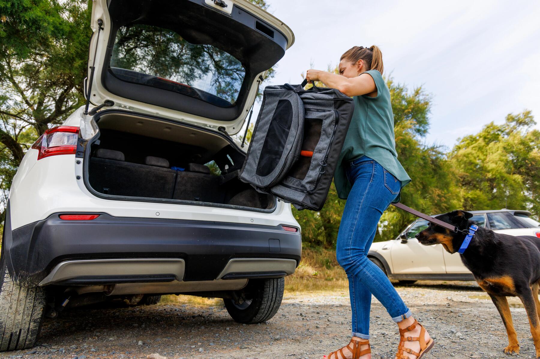 Mit unserer Hilfe die passende Transportbox für deinen Hund finden!