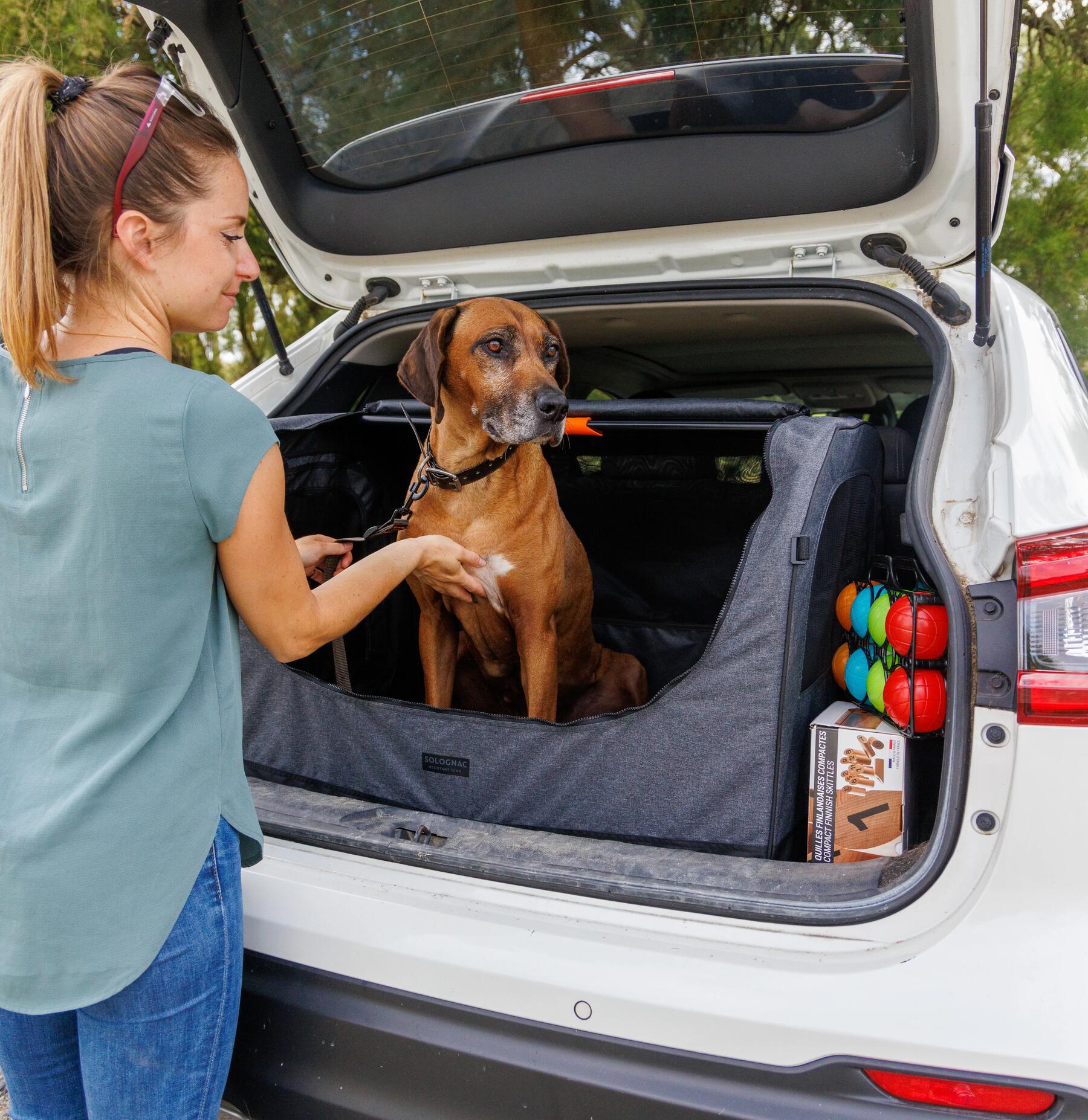 Hundetransportbox finden! Erfahre hier, worauf zu achten ist!