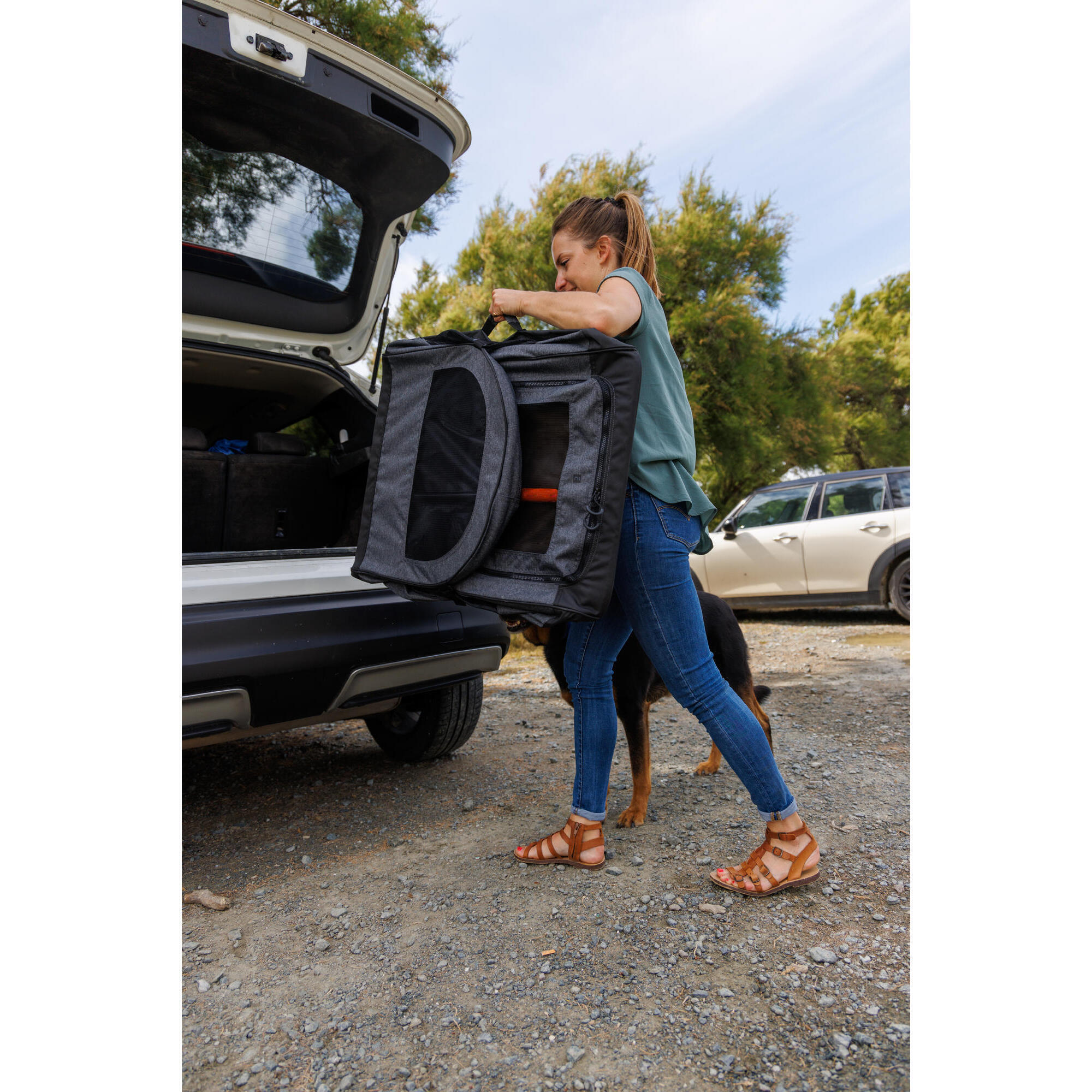 Folddown transport crate for 1 dog grey SOLOGNAC Decathlon