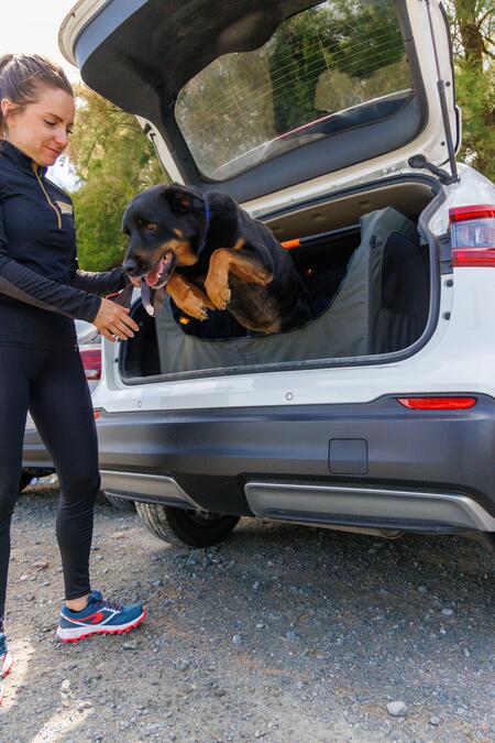Un article qui donne des astuces pour transporter son chien en toute sécurité