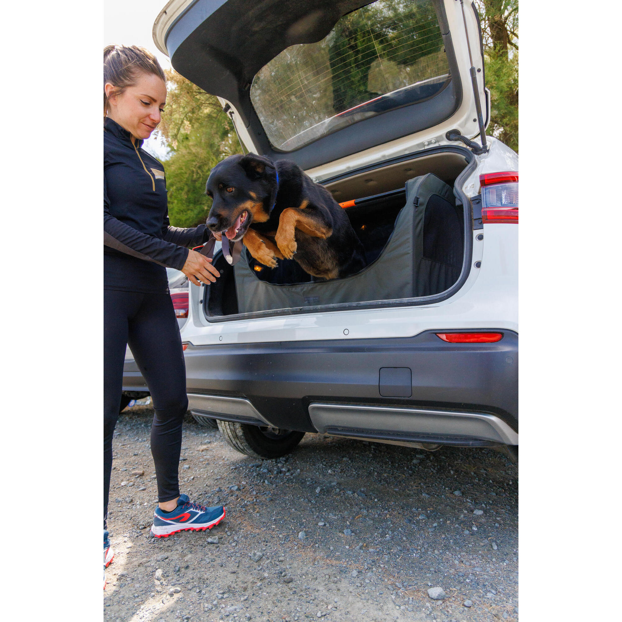 Foldable transport crate for 1 green dog