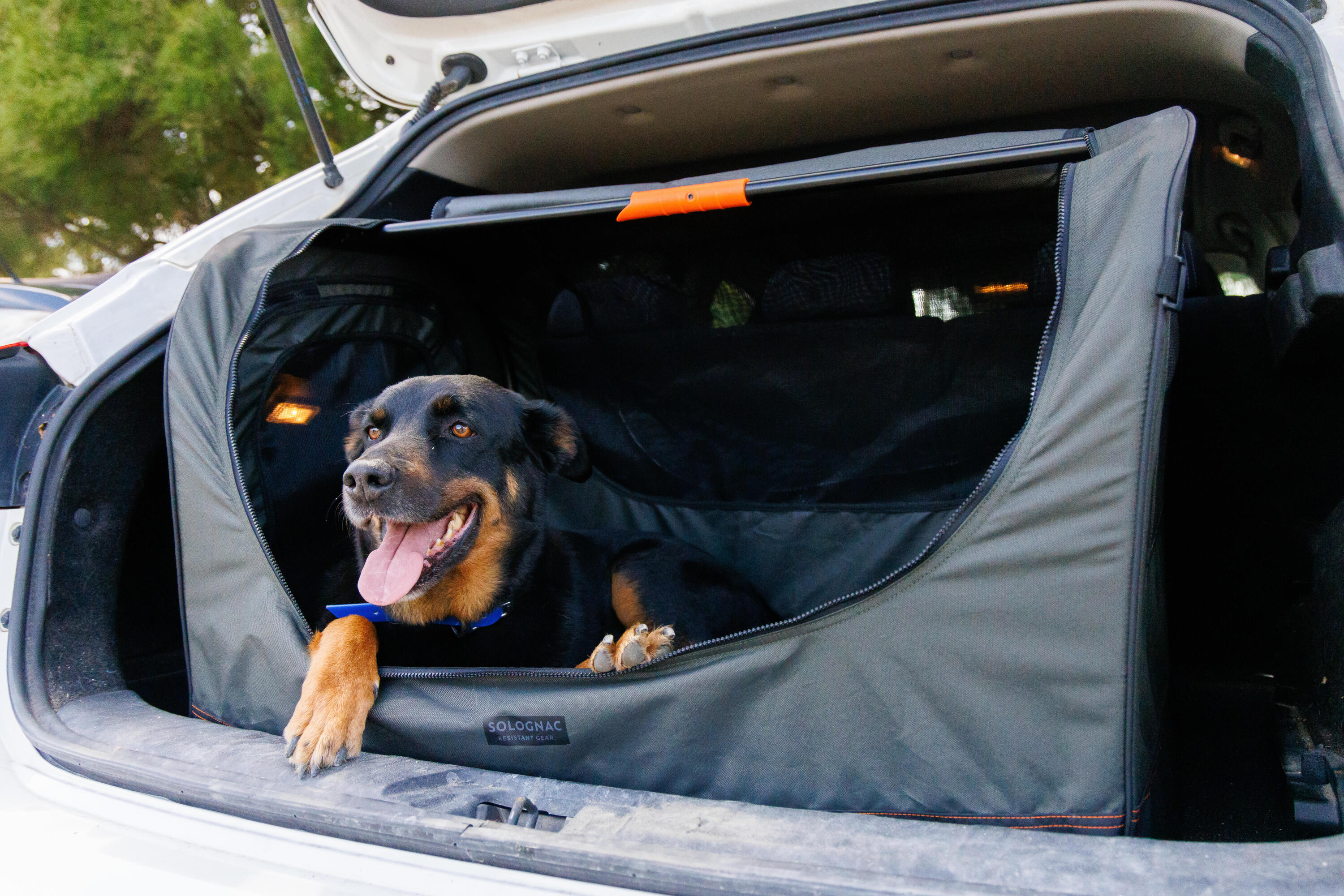 Caisse de transport pliable pour 1 chien verte 13/16