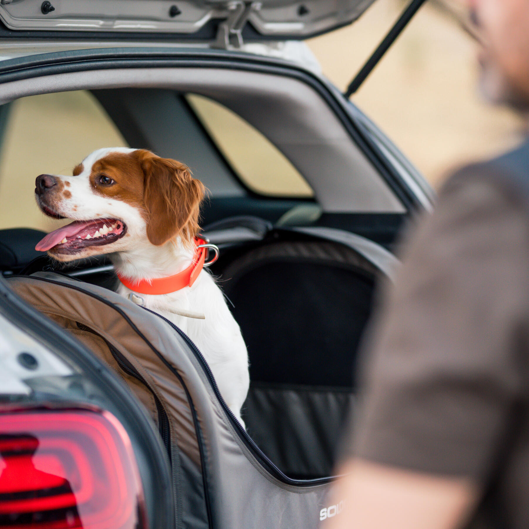 Entrainer son jeune chien