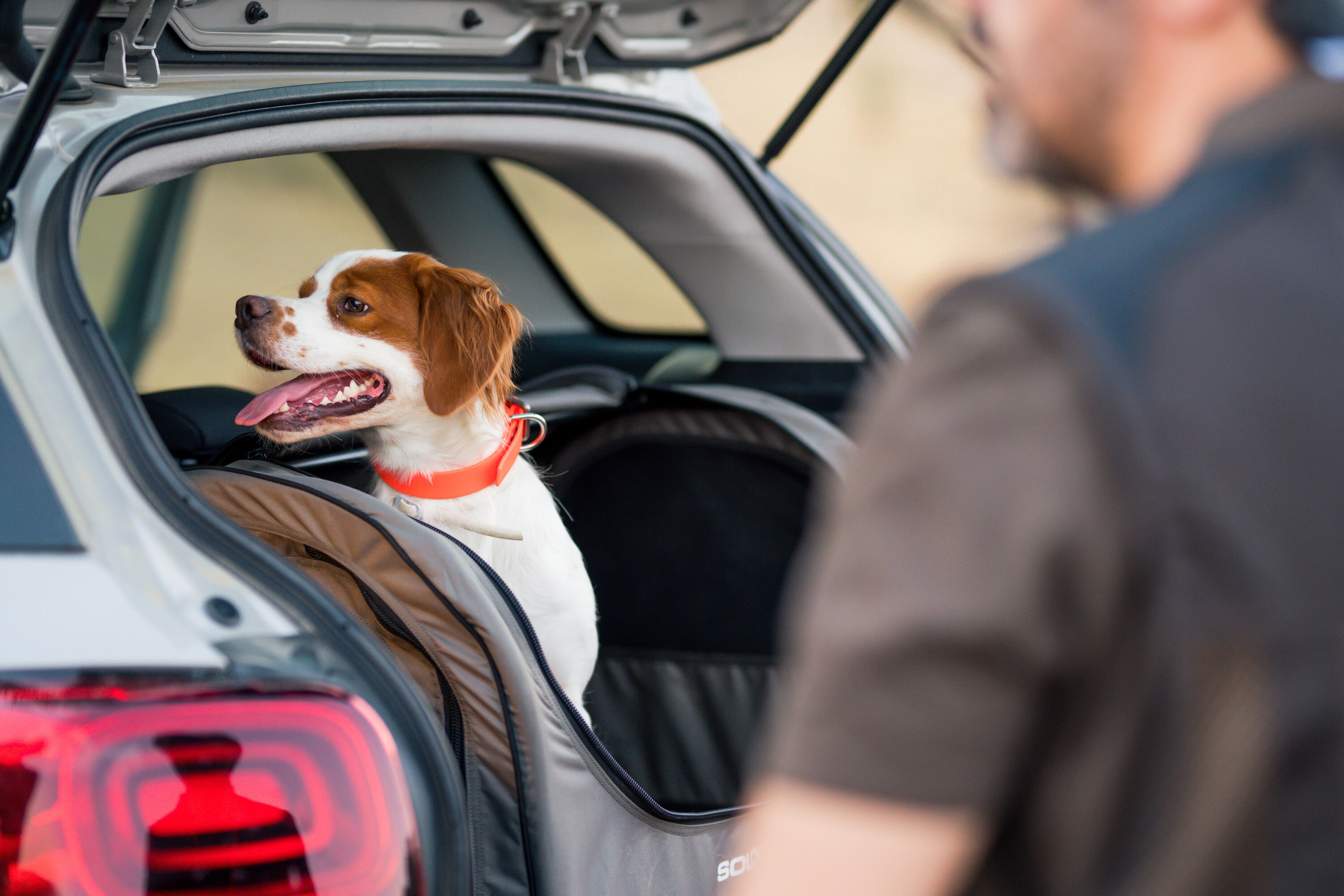 Caisse de transport pliable pour 1 chien verte 15/16