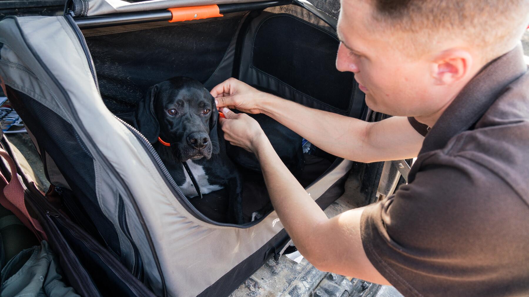 Finde mit unserer Hilfe die richtige Hundetransportbox!