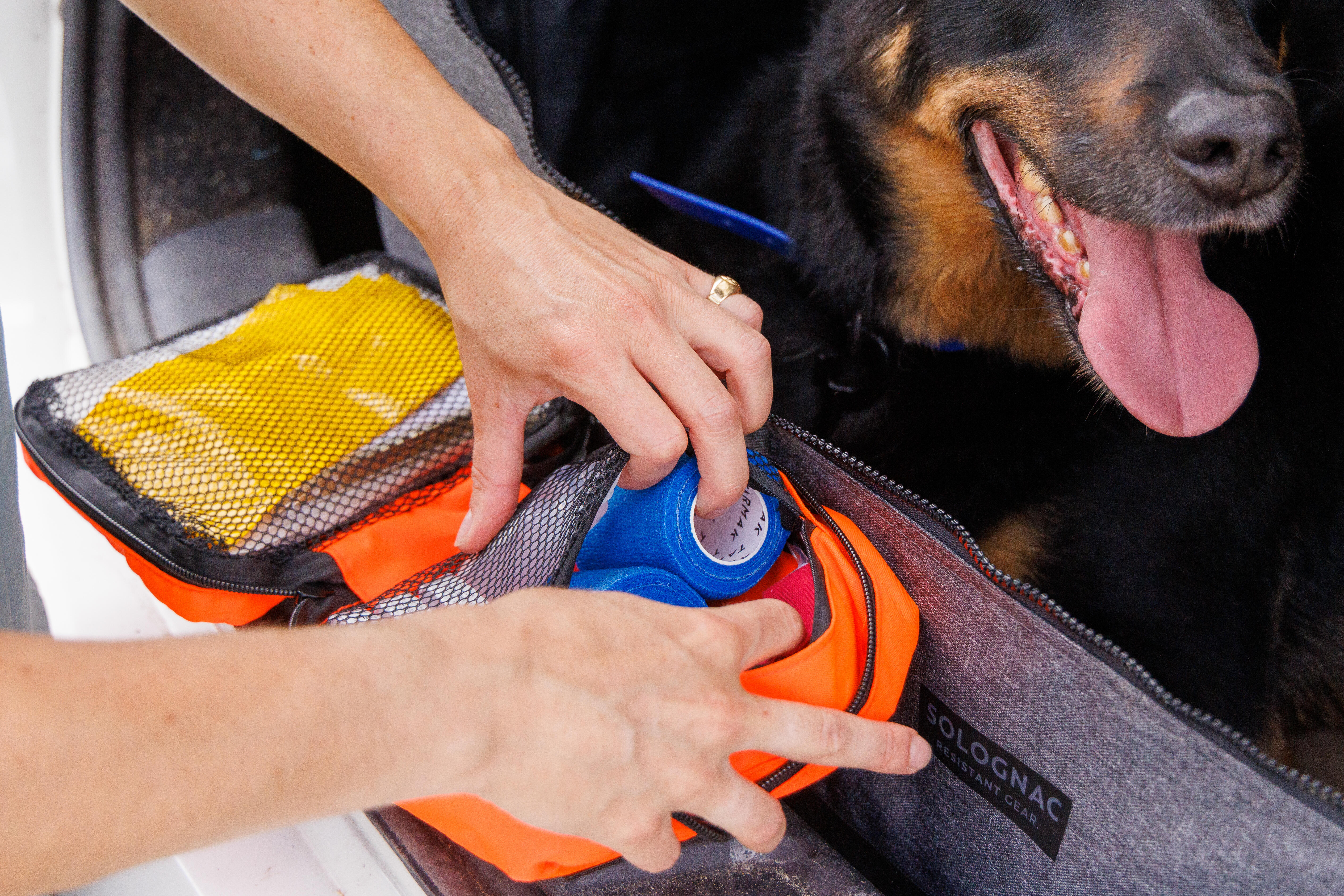 Dog First Aid Kit - SOLOGNAC