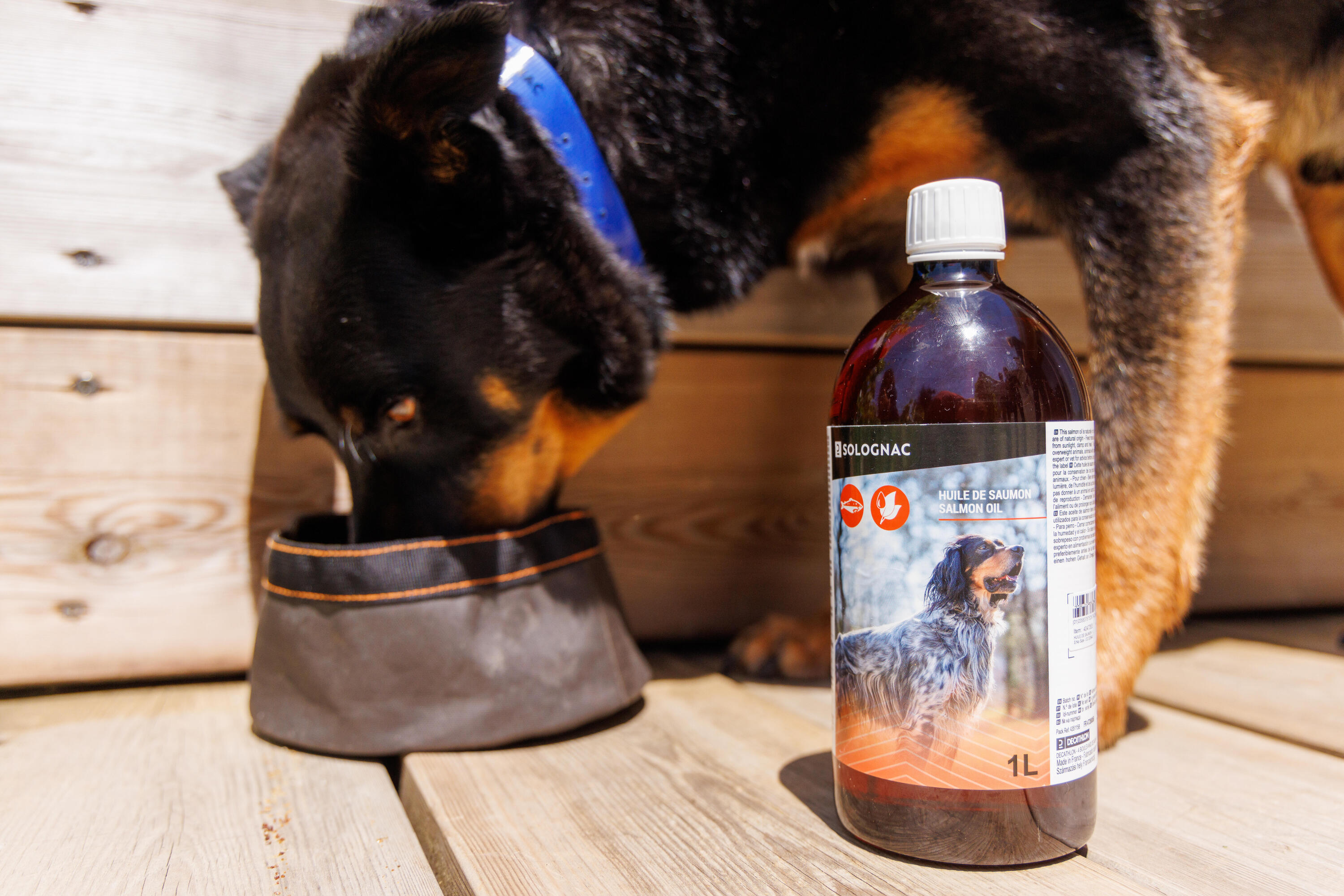 HUILE DE SAUMON 1L NUTRITION DU CHIEN 5/6