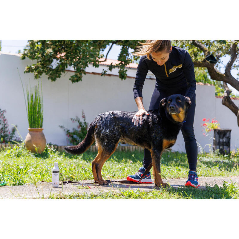 Shampoo Insektenschutz für Hunde 250 ml